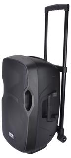 12 Battery Powered Speaker With Radio 
